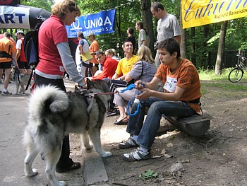 kliknij, aby powi�kszy�