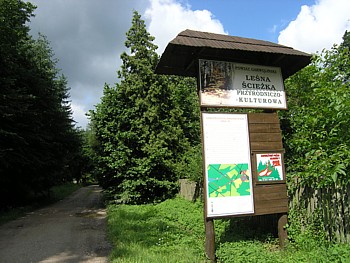 kliknij, aby powikszy