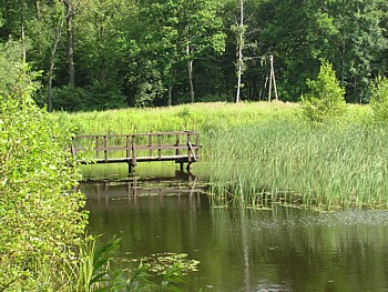 kliknij, aby powikszy