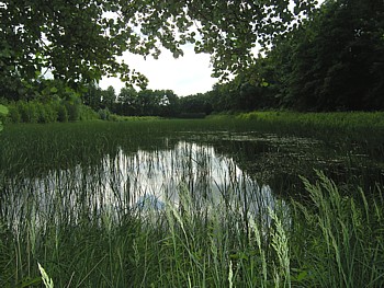 kliknij, aby powikszy