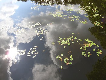 kliknij, aby powikszy