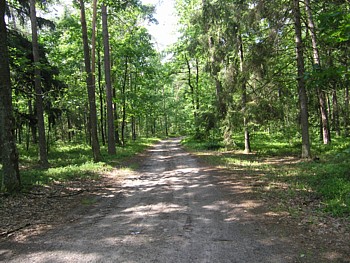 kliknij, aby powikszy