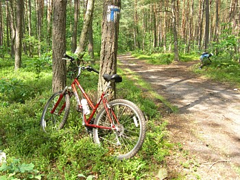 kliknij, aby powikszy