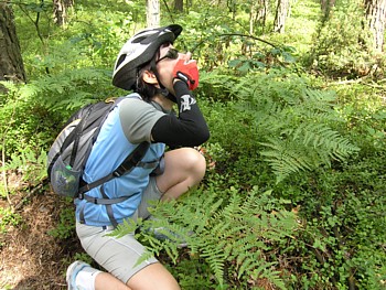 kliknij, aby powikszy