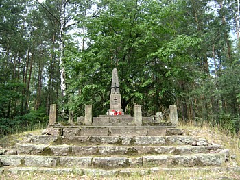 kliknij, aby powikszy