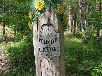 kliknij, aby powikszy