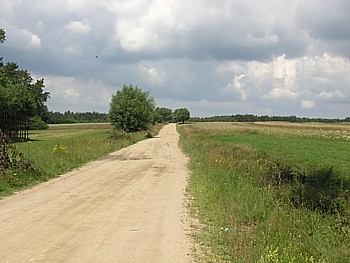 kliknij, aby powikszy