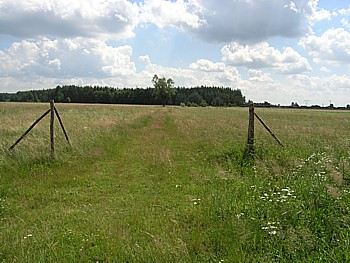 kliknij, aby powikszy