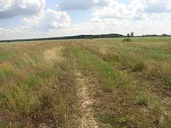 kliknij, aby powikszy