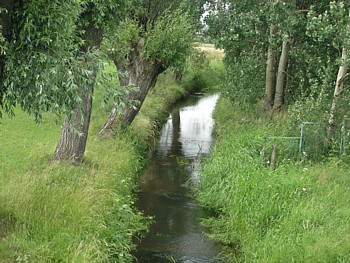 kliknij, aby powikszy