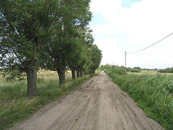 kliknij, aby powikszy