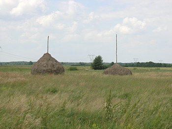 kliknij, aby powikszy