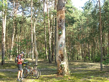 kliknij, aby powikszy