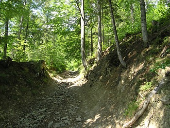 kliknij, aby powikszy