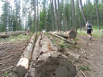 kliknij, aby powikszy