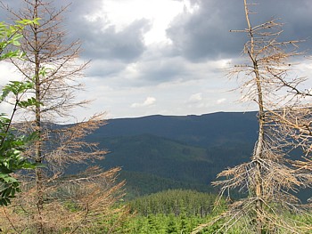 kliknij, aby powikszy