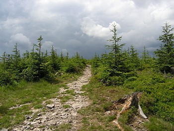 kliknij, aby powikszy