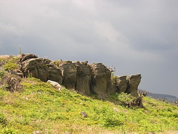 kliknij, aby powikszy