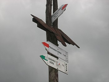 kliknij, aby powikszy