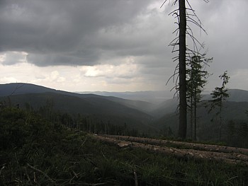 kliknij, aby powikszy