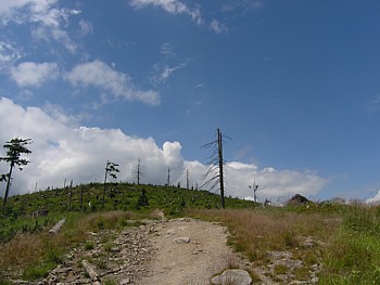 kliknij, aby powikszy