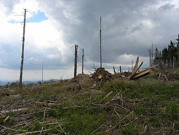 kliknij, aby powikszy