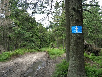 kliknij, aby powikszy