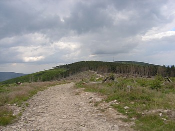 kliknij, aby powikszy