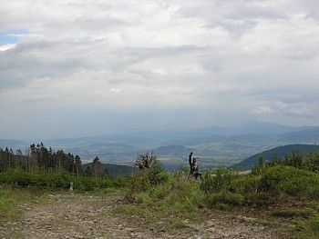 kliknij, aby powikszy