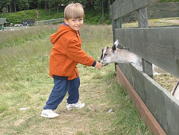 kliknij, aby powikszy