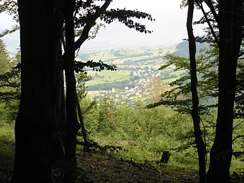 kliknij, aby powikszy