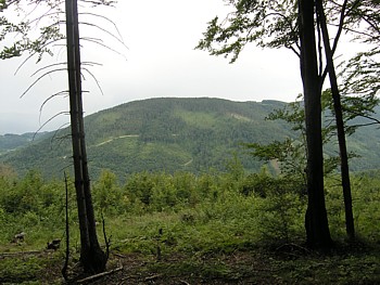 kliknij, aby powikszy