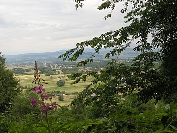 kliknij, aby powikszy