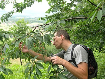 kliknij, aby powikszy