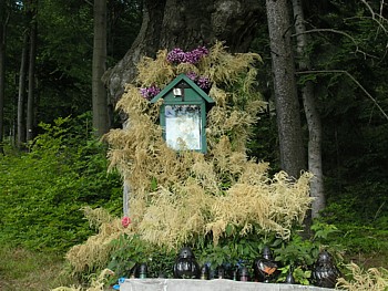 kliknij, aby powikszy