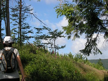 kliknij, aby powikszy