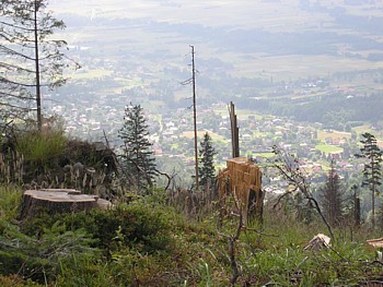 kliknij, aby powikszy