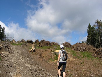 kliknij, aby powikszy