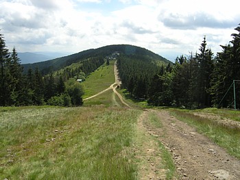 kliknij, aby powikszy