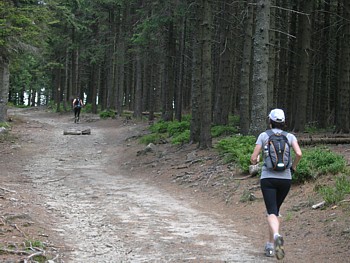 kliknij, aby powikszy