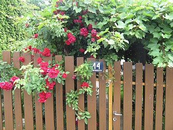 kliknij, aby powikszy