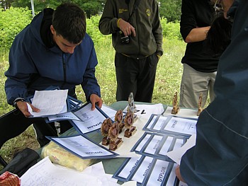 kliknij, aby powi�kszy�