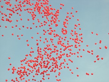 kliknij, aby powi�kszy�