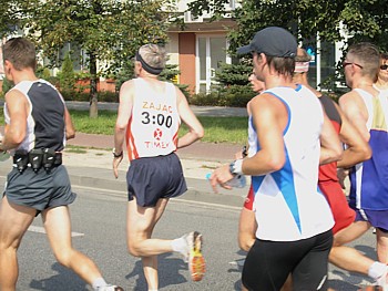 kliknij, aby powi�kszy�