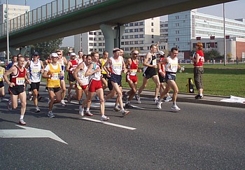 kliknij, aby powi�kszy�