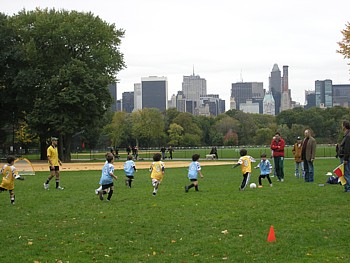 kliknij, aby powi�kszy�