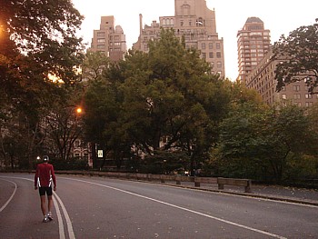 kliknij, aby powi�kszy�