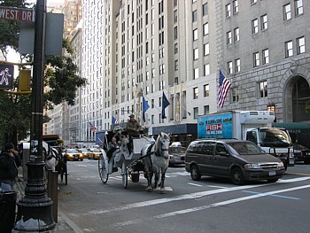 kliknij, aby powi�kszy�