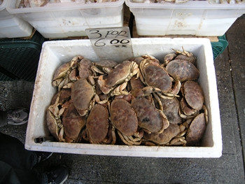 kliknij, aby powi�kszy�