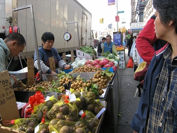 kliknij, aby powi�kszy�